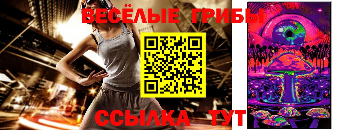 Псилоцибиновые грибы мухоморы  что такое   Псилоцибиновые грибы прущие грибы  Владикавказ  Вход с VPN 